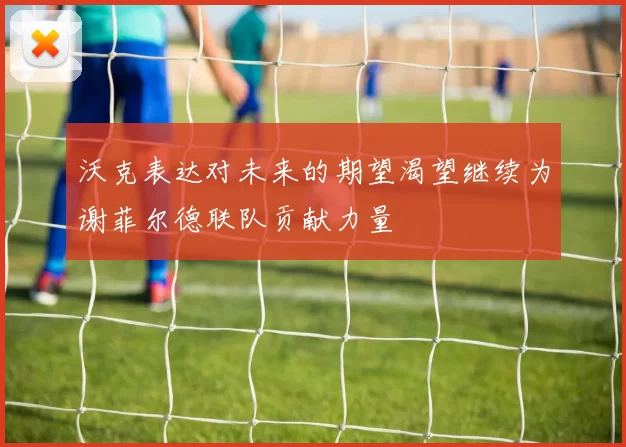 沃克表达对未来的期望渴望继续为谢菲尔德联队贡献力量